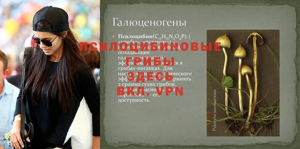 не бодяженный Алзамай