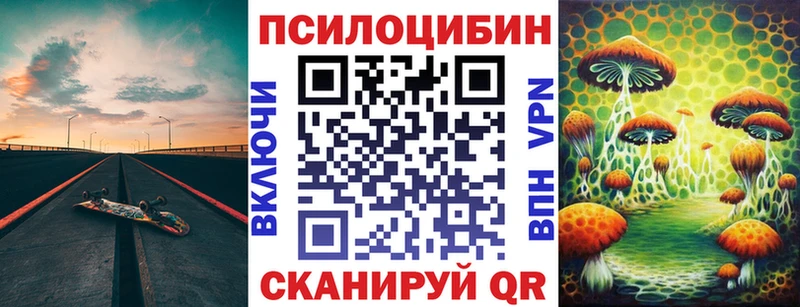 Псилоцибиновые грибы Cubensis Кизляр