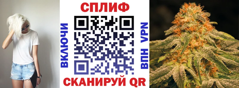 Каннабис Amnesia  Кизляр 